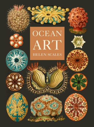 Cover image for 9781836390985 - Ocean Art