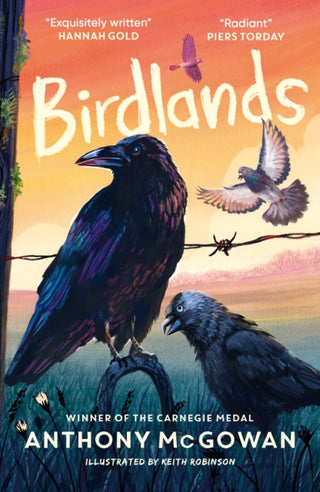 Cover image for 9781836431800 - Birdlands