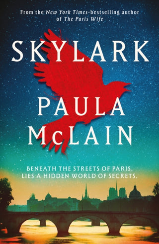Cover image for 9781836432296 - Skylark
