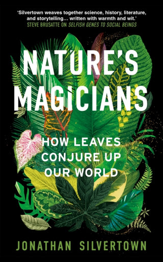 Cover image for 9781836432678 - Nature's Magicians