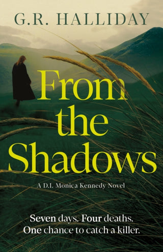 Cover image for 9781836432883 - From the Shadows