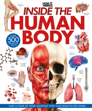 Cover image for 9781836488149 - Inside the Human Body