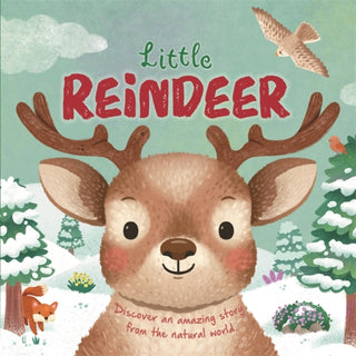 Cover image for 9781836500353 - Little Reindeer
