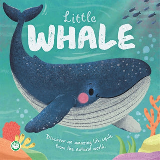 Cover image for 9781836507550 - Little Whale
