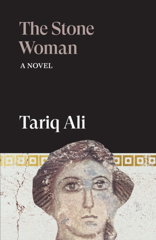 Cover image for 9781836743736 - The Stone Woman