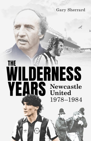 Cover image for 9781836801450 - The Wilderness Years