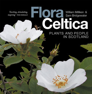 Cover image for 9781836920137 - Flora Celtica