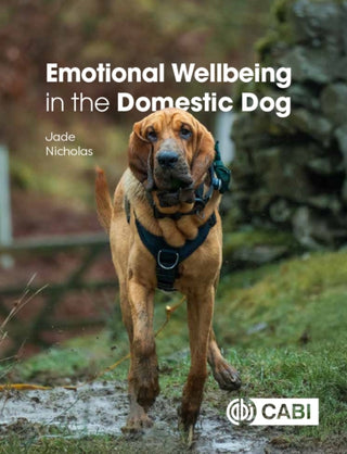 Supplemental image for 9781836990703 - Emotional Wellbeing in the Domestic Dog