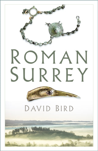 Cover image for 9781837051267 - Roman Surrey