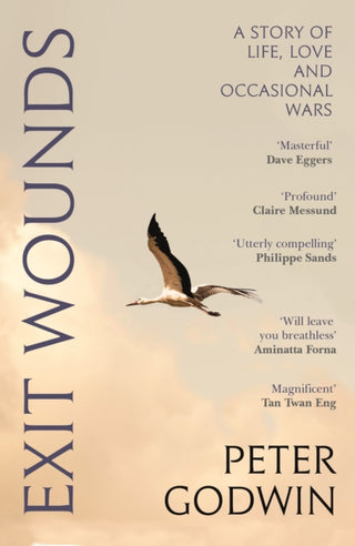 Cover image for 9781837260829 - Exit Wounds