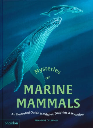 Cover image for 9781837290208 - Mysteries of Marine Mammals