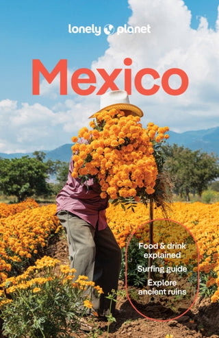 Cover image for 9781837583973 - Lonely Planet Mexico