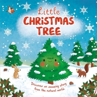 Cover image for 9781837712953 - Little Christmas Tree