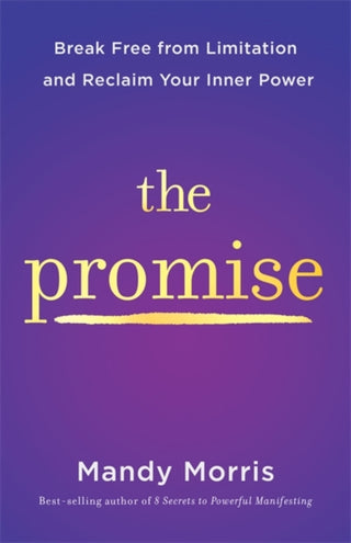 Cover image for 9781837823475 - The Promise