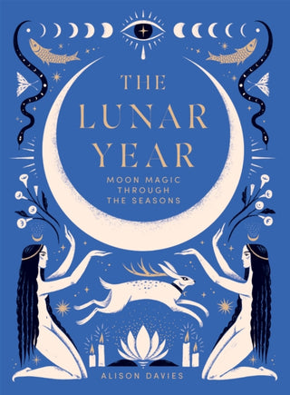 Cover image for 9781837830909 - The Lunar Year
