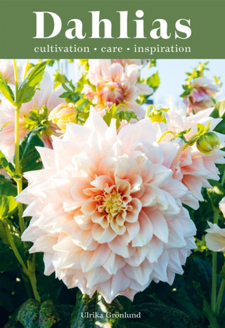 Cover image for 9781837830954 - Dahlias