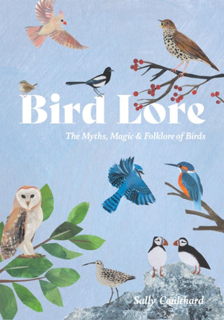 Cover image for 9781837833061 - Bird Lore