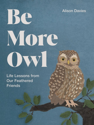 Cover image for 9781837834068 - Be More Owl