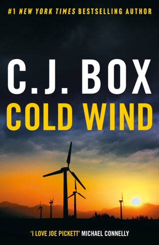 Cover image for 9781837932047 - Cold Wind