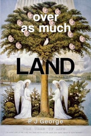 Cover image for 9781837940479 - Over As Much Land