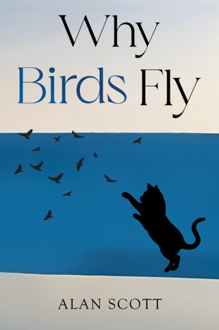 Cover image for 9781837945283 - Why Birds Fly