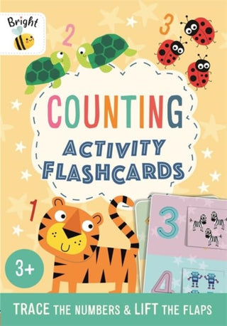 Cover image for 9781837951550 - Counting Activity Flashcards