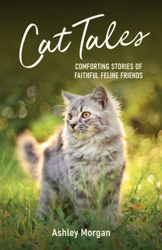 Cover image for 9781837992829 - Cat Tales