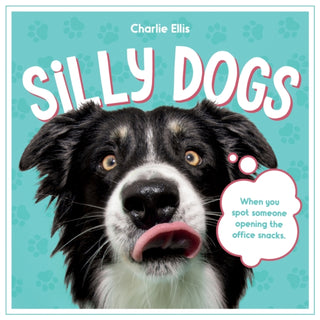 Cover image for 9781837994083 - Silly Dogs