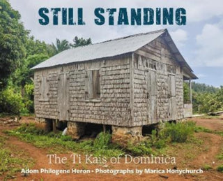 Supplemental image for 9781838041588 - Still Standing