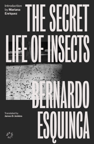 Cover image for 9781838171643 - The Secret Life of Insects