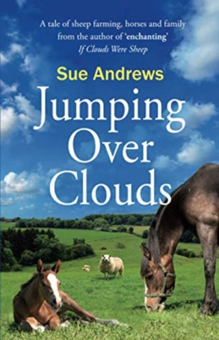 Cover image for 9781838229818 - Jumping Over Clouds