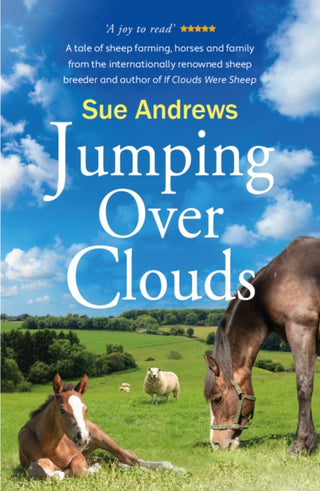 Supplemental image for 9781838229818 - Jumping Over Clouds