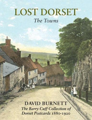 Cover image for 9781838473518 - Lost Dorset