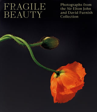 Cover image for 9781838510466 - Fragile Beauty