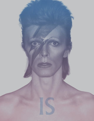 Cover image for 9781838510589 - David Bowie Is