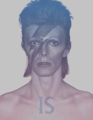 Supplemental image for 9781838510589 - David Bowie Is