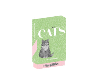Cover image for 9781838510596 - Cats of the V&A