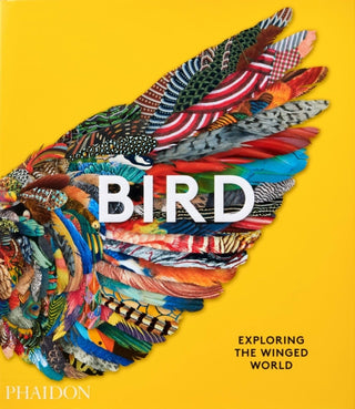 Cover image for 9781838661403 - Bird