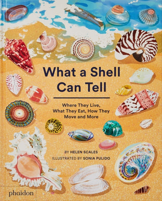Cover image for 9781838664305 - What A Shell Can Tell