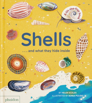 Cover image for 9781838667887 - Shells... and what they hide inside