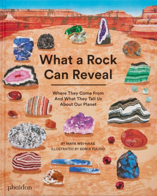 Cover image for 9781838667894 - What a Rock Can Reveal