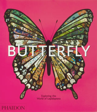 Cover image for 9781838669379 - Butterfly