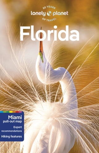 Cover image for 9781838697785 - Lonely Planet Florida