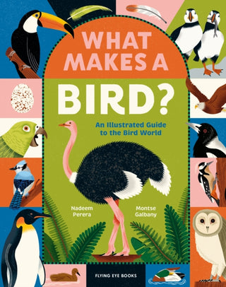 Cover image for 9781838742065 - What Makes a Bird?