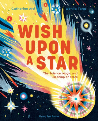 Cover image for 9781838742102 - Wish Upon a Star