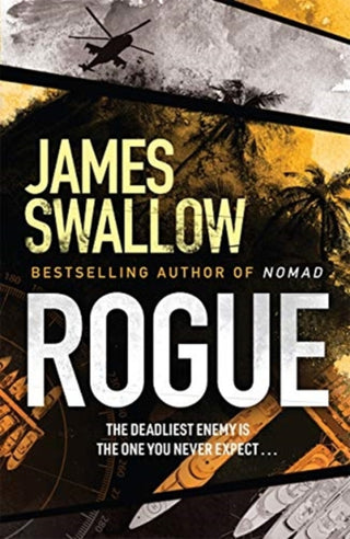 Cover image for 9781838770570 - Rogue