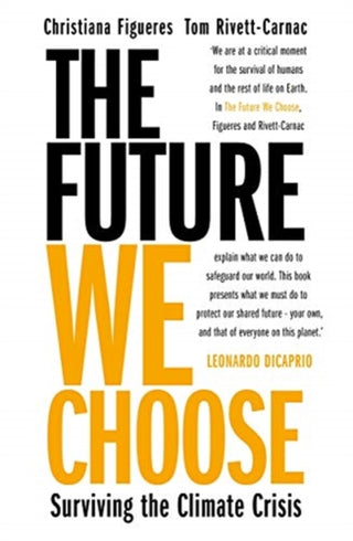 Cover image for 9781838770822 - The Future We Choose