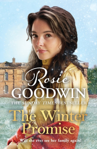 Cover image for 9781838772994 - The Winter Promise