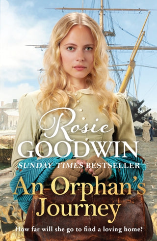 Cover image for 9781838773113 - An Orphan's Journey