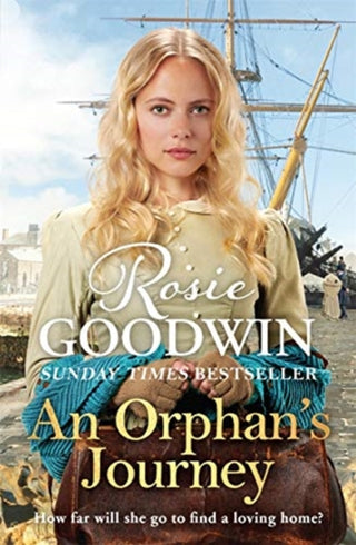 Cover image for 9781838773526 - An Orphan's Journey